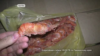 Приморские пограничники изъяли партию нелегальных морепродуктов