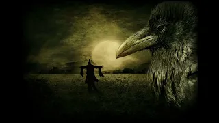 Eerie Cornfield Soundscape Halloween Ambience Sounds/ Rustling Cornstalks Ravens Crows ASMR / 1 Hour