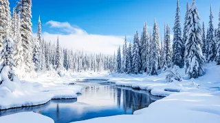 Beautiful melody to tears: Beautiful experience of winter - Heals the nervous system and heart ❤