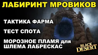 💰 Лабиринт Мровиков. Тесты и тактика фарма серебра. Итемы на шлем ЛАБРЕСКАС в БДО (BDO-Black Desert)