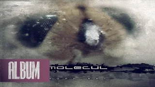 Molecul - Боли.Net (2008) [Cybercore/Nu Metal]