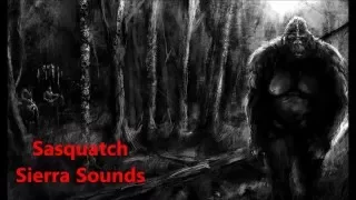 Sasquatch Sierra Sounds by Ron Morehead & Al Berry in (HD)