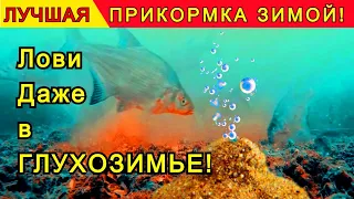 Теперь ловим рыбу даже в глухозимье! Прикормка для рыбалки своими руками!  Кислородная прикормка!