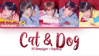 TXT (투모로우바이투게더) - Cat & Dog (Color Coded Lyrics Eng/Rom/Han)