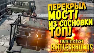 ПЕРЕКРЫЛ МОСТ! ИЗ СОСНОВКИ В ТОПЫ В Battlegrounds #35