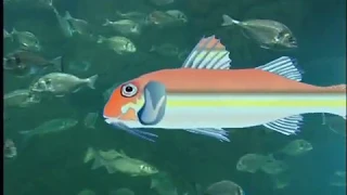 Film  vidéo de pêche Bretagne- pêche du rouget à Loctudy / réalisation André Espern
