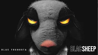 Blac Youngsta - Blac Sheep (Official Visualizer)