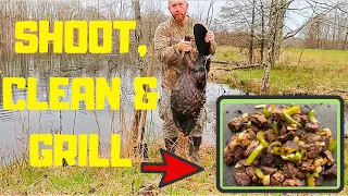 BEAVER HUNTING Catch, Clean & Cook