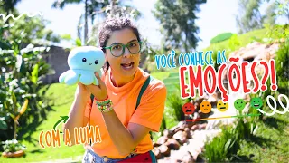 Descobrindo as principais emoções (Alegria, Medo, Raiva...) | Vídeo Educativo Infantil | Mundo Luma