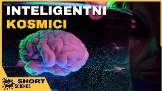 Jak wysoką inteligencję mogą mieć kosmici? - POP Science Fragmenty