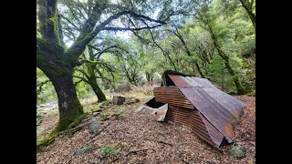 Abandoned Gold Mine Overloaded With Quartz & Crystals