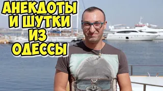 Анекдоты, шутки, фразы и выражения! Услышано в Одессе! #146