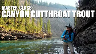 Fly Fishing MASTER-CLASS: Locating Canyon Cutthroat Trout. Fly Fishing Alberta's Ram River Canyon