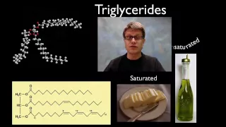 Lipids