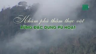 Khám phá thảm Thực Vật Rừng Đặc Dụng Pù Hoạt| VTC14