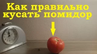 Как правильно кусать помидор, чтобы не обрызгаться. Носок философ
