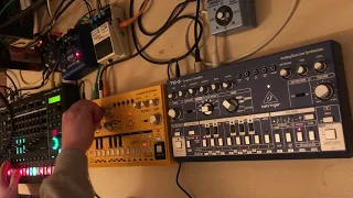 Thursday Acid Techno Jam 11032021 Roland TR-8s Behringer TD-3