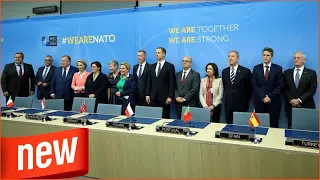 Brüssel - NATO berät über engere Kooperation mit der EU