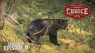 Adrenaline Bears in Manitoba - Archer’s Choice (Full Episode)  // S11: Episode 8