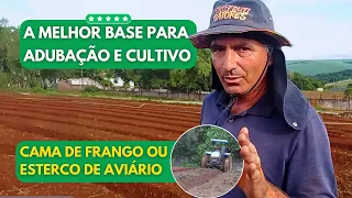 CAMA DE FRANGO OU ESTERCO DE AVIÁRIO. A BASE PARA A MELHOR ADUBAÇÃO E CULTIVO DA HORTA DO MAGRÃO