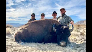 Will's Henry mountain bison hunt