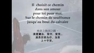 Sur le chemin de souffrance. Via dolorosa ( French) / 苦路 (法语)
