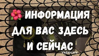 💥 ИНФОРМАЦИЯ ДЛЯ ВАС ЗДЕСЬ И СЕЙЧАС, НЕ ПРОСТО ТАК 🔮 Таро гадание онлайн🔥Vedascara