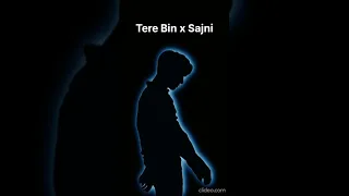 Tere bin x sajni Full version