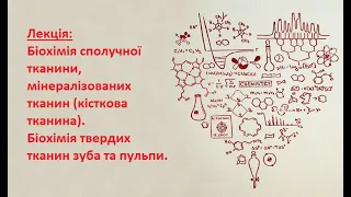 Лекція: Біохімія сполучної тканини, мінералізованих тканин. Біохімія твердих тканин зуба.