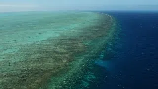 Australia spends big to save Great Barrier Reef