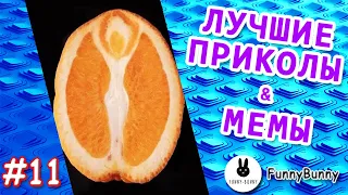 ЛУЧШИЕ ПРИКОЛЫ ЗА ФЕВРАЛЬ / Смешные Видео / СМЕХ ДО СЛЕЗ 2021 / Мемы /  ЖИВОТНЫЕ / ржака 11 #shorts