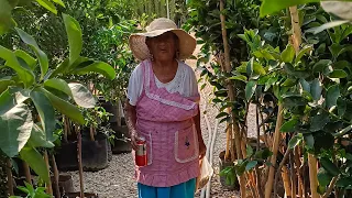 FUIMOS A VISITAR  EL HUERTO DE MI ABUELITA SANTA MARÍA  YOLOTEPEC