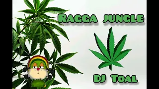 ragga jungle mix