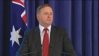 Albanese makes pitch for Labor leadership