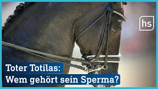 Es geht um Millionen: Streit um gefrorenes Sperma von Totilas | hessenschau