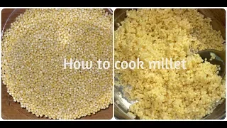 How to Cook Millet | Millet Recipes | How to cook Perfect Millet