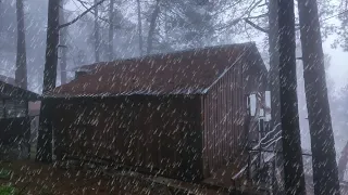 Hiding in an Abandoned Log Cabin From Extreme Rain And Storm