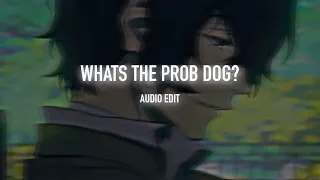 whats the prob dog? - ida corr and wisekids [edit audio]