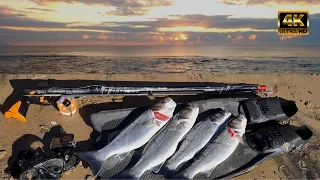 Spearfishing for Sea bass in clear waters in the Ionian Sea🤿