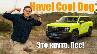 Haval Cool Dog — стильный компактный внедорожник