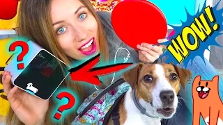 ТОП КРУТЫХ ПОКУПОК ИЗ КИТАЯ ДЛЯ СОБАКИ МОИ ФАВОРИТЫ | Elli Di Pets