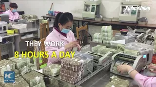 Counting cash like crazy! How to count 700k banknotes a day!