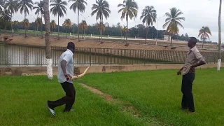 Yamoussoukro Côte d'Ivoire, un crocodile  dans le jardin