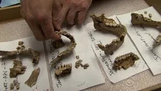 Archaeologists find human remains in Jamestown, Va.