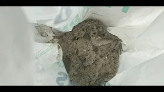 WATCH how much DRY DIRT & DIRTY WATER is removed from these 2rooms of Carpet