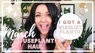 The BIGGEST Houseplant Haul SO FAR | March Houseplant Haul 2021