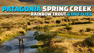 Patagonia Spring Creek Fly Fishing - Rainbow Trout & Dry Fly Fishing in a Patagonia Spring Creek