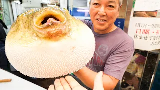 Japanese Street Food Tour in Osaka, Japan - DEADLY PUFFERFISH Sashimi (FUGU) + Noodle Tour of Osaka!