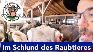 FarmVLOG#108 - Im Schlund des Raubtieres 🐮