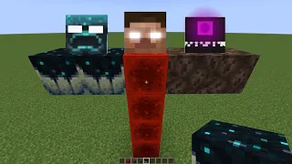 what if you create a HEROBRINE WARDEN STORM in MINECRAFT